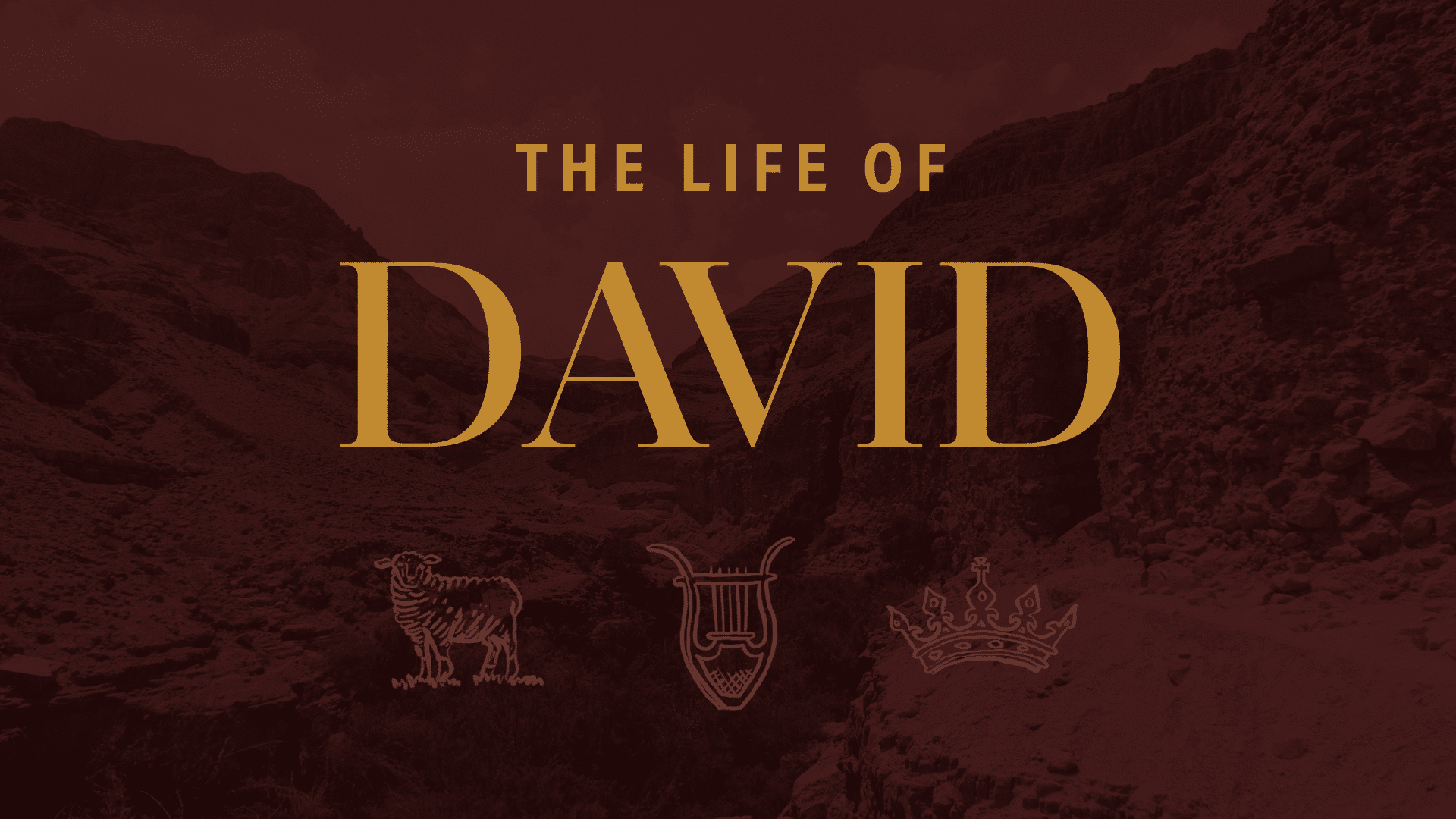 The Life of David graphic