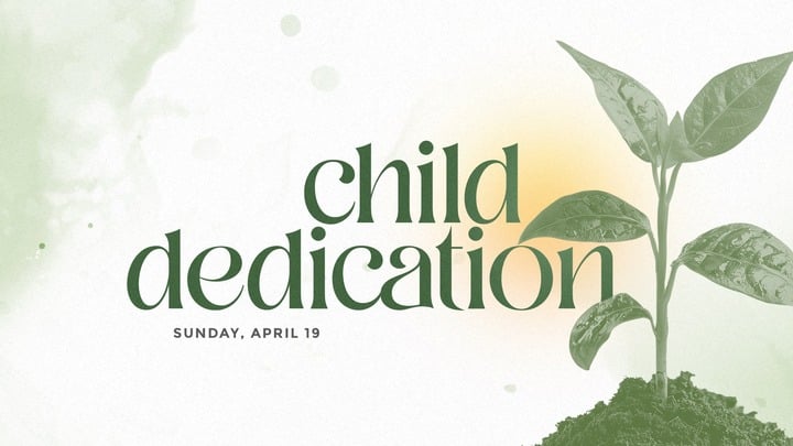 medium_image-1771527454284-P59w6g